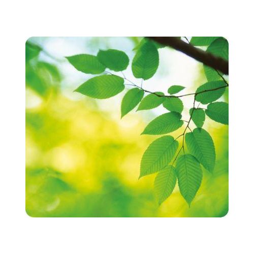 Mousepad Earth, Blätter