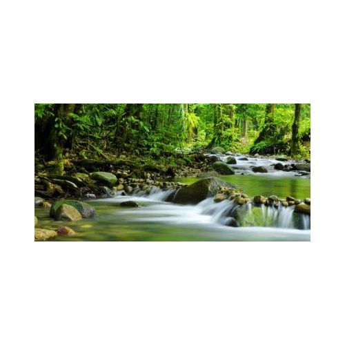 Akustikbild, Querformat, B 800 x H 1600 mm, Schallabsorptionsklasse A, 2-lagig, Polyestervlies & Aluminium, Motiv Bach