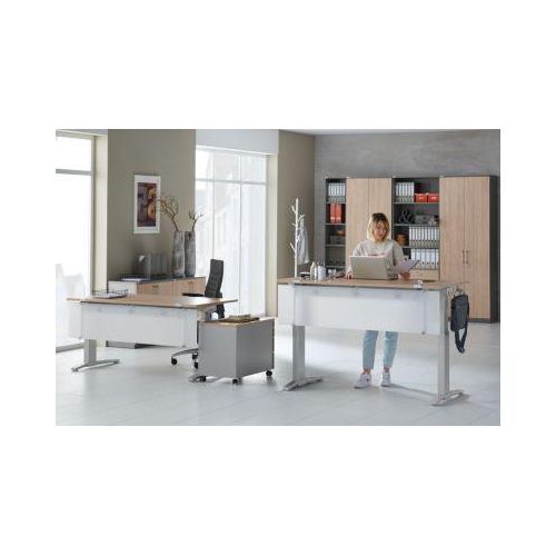 Schäfer Shop Genius ERGOSTYLE S Knieraumblende für Schreibtisch B 1600 mm