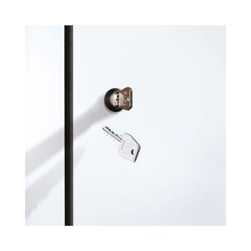 C+P Zylinderschloss mit 2 Schlüsseln, für Evolo Plus, Schließkreis bis 1000 Schließungen, silber