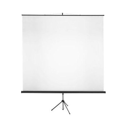 Stativ-Leinwand Classic, B 2000 x H 2000 mm, Teilung 1:1, höhenverstellbar, mit Griff, Gewebe und Metall, schwarz-weiß