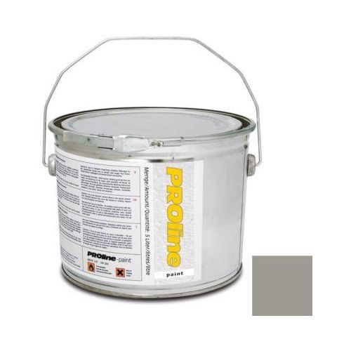 Hallenmarkierungsfarbe PROline-paint, stein