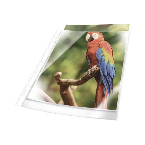 Prospekthülle Durable, mit weißem Rand, DIN A4, Universallochung, dokumentenecht, 25 Stück, 80 mµ, glasklar