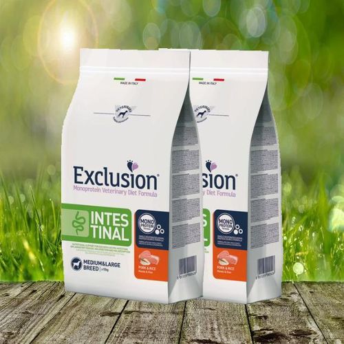 Intestinal Schwein & Reis medium/large breed 2 x 12 kg