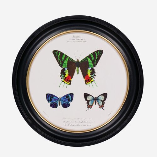 Mehrfarbige Wandkunst mit Schmetterlingsmotiv 38cm