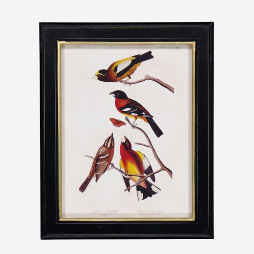 Mehrfarbige Wandkunst mit Vogelmotiv 20x25cm