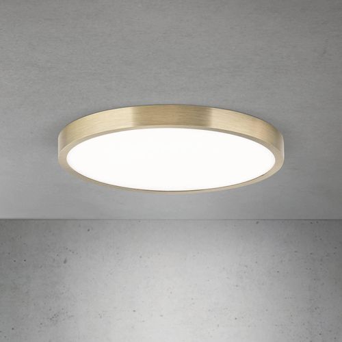 LED-Deckenlampe Disc, messingfarben antik, Ø 28 cm, CCT