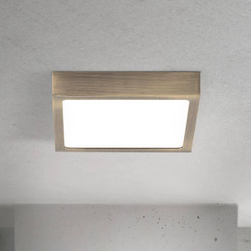 LED-Deckenlampe Disc, messingfarben antik, Länge 14 cm, CCT