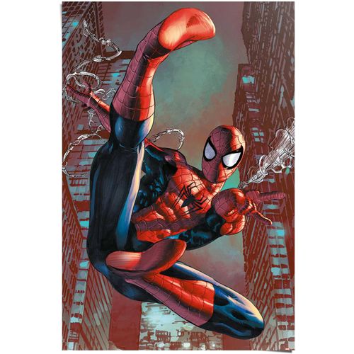 Poster REINDERS "Poster Spider-Man", rot (farbe bild(er): rot), B:61cm H:91,5cm, Papier, Bilder, Poster
