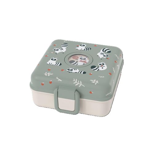 Lunchbox RACCOON