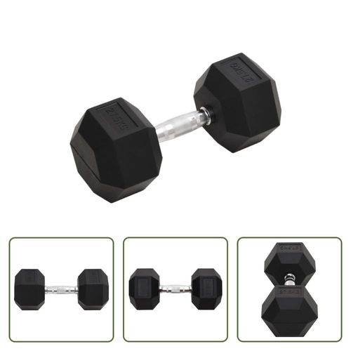 The Living Store Kurzhantel 27,5 kg Gusseisen