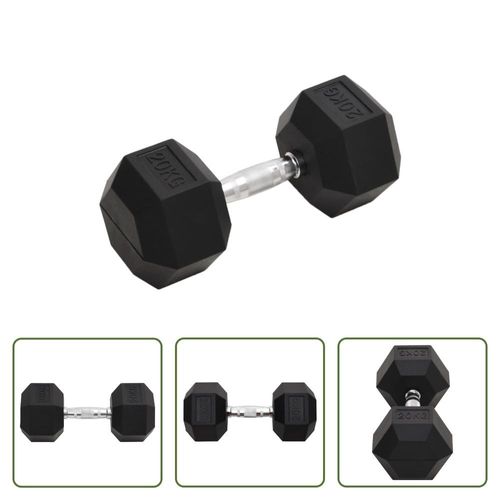 The Living Store Kurzhantel 20 kg Gusseisen