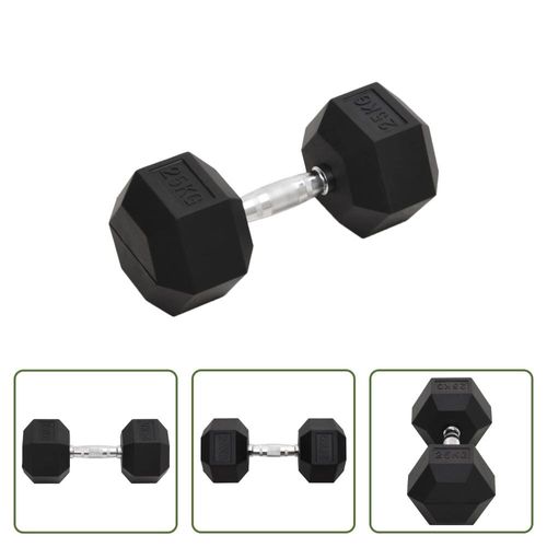 The Living Store Kurzhantel 25 kg Gusseisen