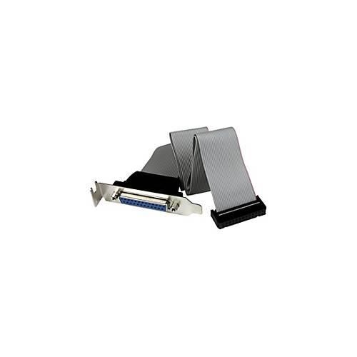 StarTech.com Low Profile IDC 26 (Buchse) auf DB25 (Buchse)