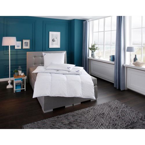 Bettdecke + Kopfkissen RIBECO 