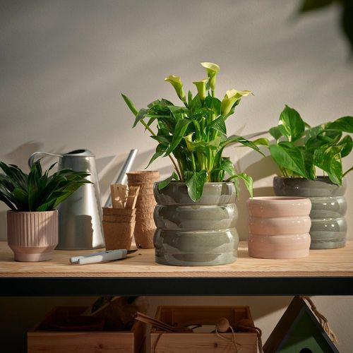 HASSELBUKETT Übertopf