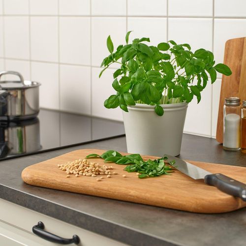 KÖRSBÄRSBJÖRK Übertopf