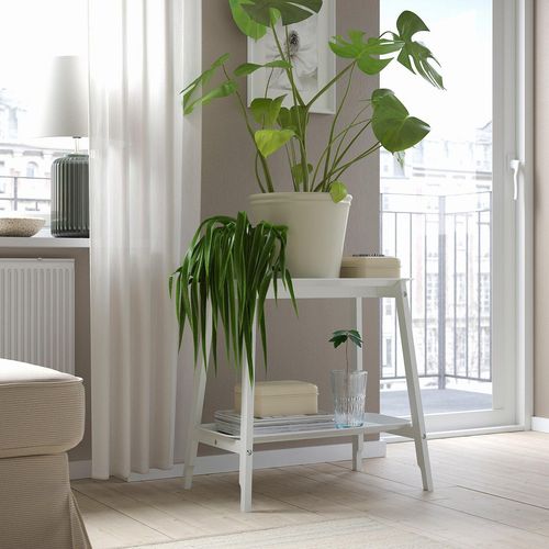 KÖRSBÄRSBJÖRK Übertopf