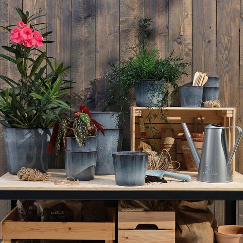 FJÄRILSBUSKE Übertopf