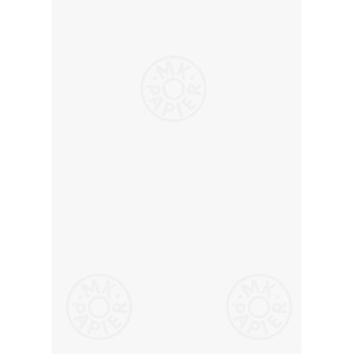 MK-Büropapier A4 95 g/qm blanko Wasserzeichen VE=5x100 blatt