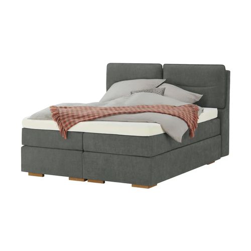 Wohnwert Boxspringbett mit Bettkasten Dormian Besta - grau - Materialmix - 200 cm - 136 cm - Möbel Kraft