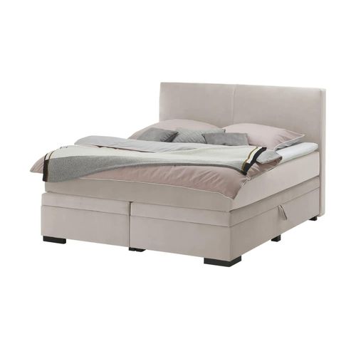 Boxi Boxspringbett mit Bettkasten Boxi Classic - beige - Materialmix - 160 cm - 125 cm - Möbel Kraft