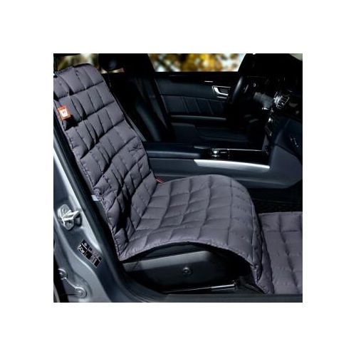 Doctor Bark Beifahrerautodecke grau