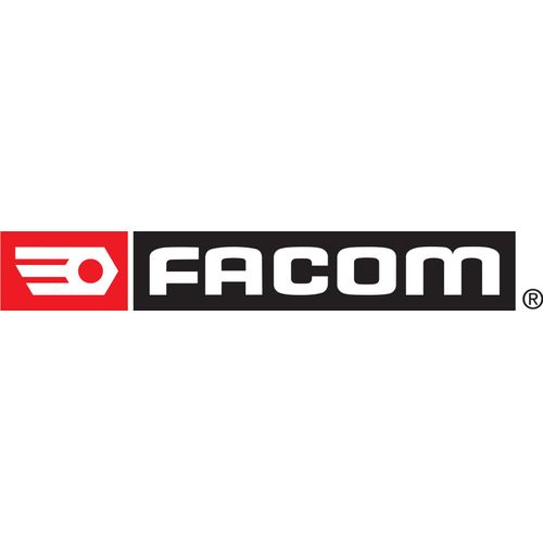 Facom Gleithammer Schlaggewicht 9,8 kg