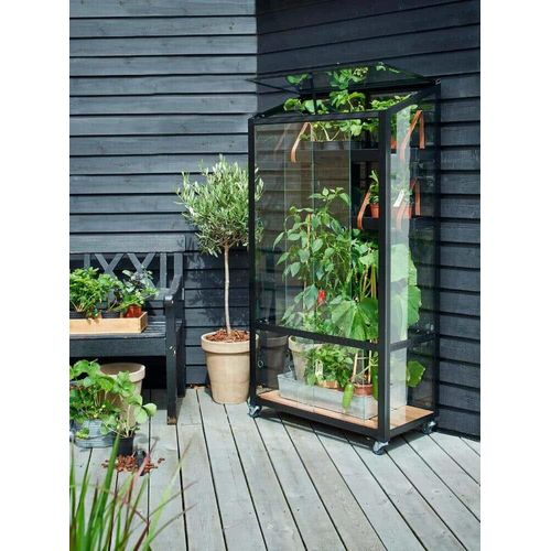 Juliana MiniGewächshaus City Greenhouse