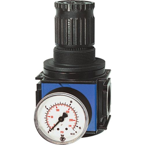 Riegler Druckregler »variobloc«, inkl. Manometer, BG 2, G 1, 0,5 - 10 bar