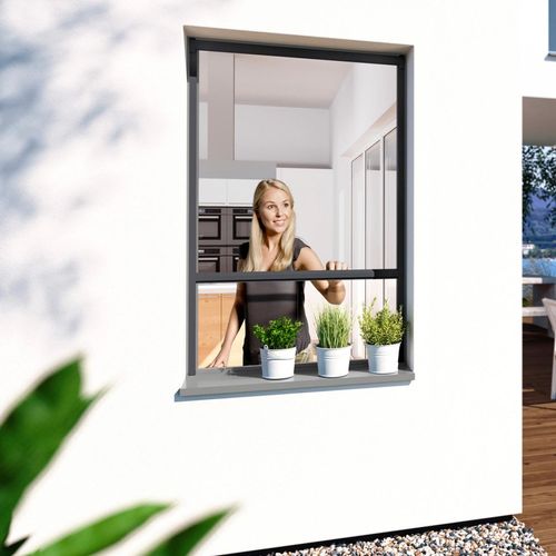 Insektenschutzrollo WINDHAGER "PLUS", schwarz, Rollos, BxH: 160x160 cm