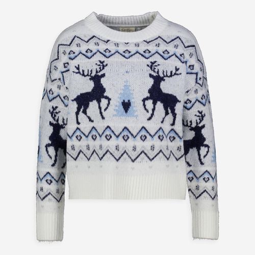 Weiß-blauer Weihnachtspullover Image