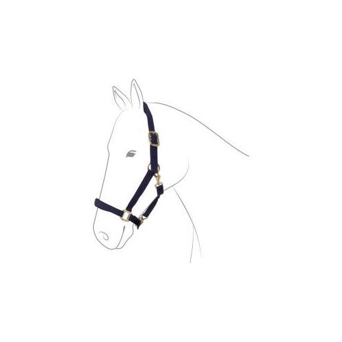EQuest Halfter Dual Plus navy Pony