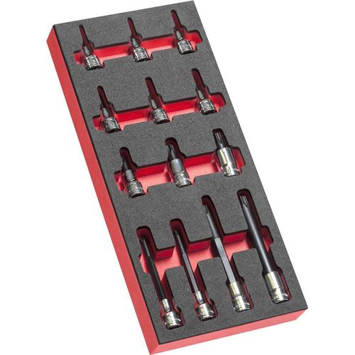Facom Schaumstoffmod. 13x Torx Stecks. 1/2Z