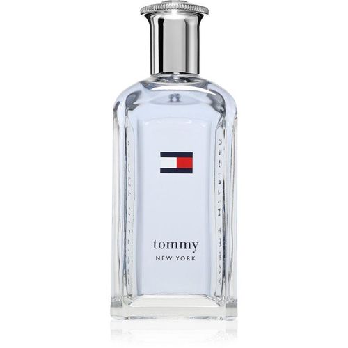 Tommy Hilfiger NEW YORK Eau de Toilette voor Mannen 100 ml