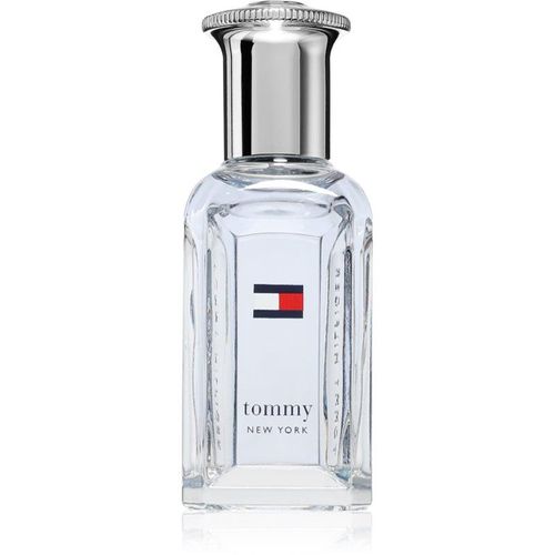 Tommy Hilfiger NEW YORK Eau de Toilette voor Mannen 30 ml
