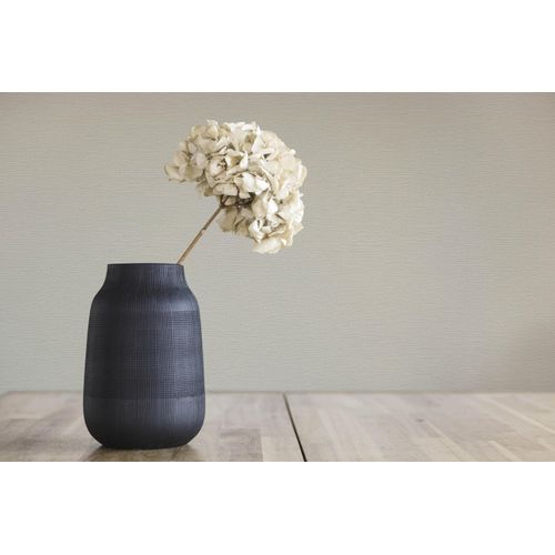 Vliestapete A.S. CRÉATION "Natural Living Unitapete", beige, B:0,53m H:0,01m L:10,05m, Vinyl, Vlies, Tapeten, PVC-Frei ressourcenschonende skandinavisches Tapeten Wohnzimmer