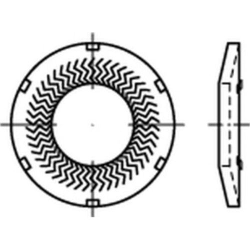 Teckentrup-Sperrkantscheiben 1.4401, SKK 8, m. Kontaktzähnen A 4 S 1000 Stk