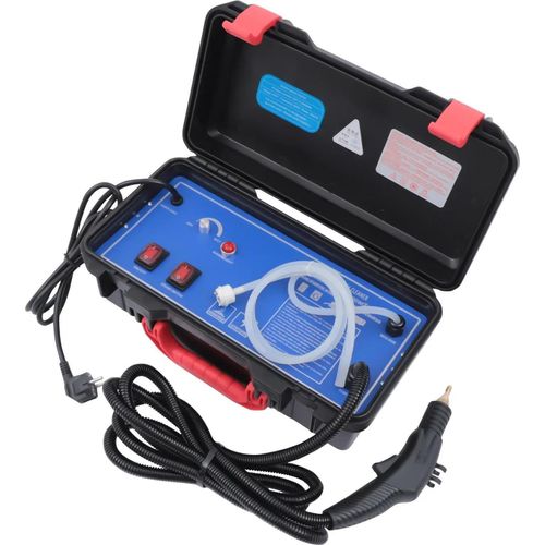 Dampfreiniger - Handdampfreiniger - 3000 W - 220 V - 2–3,5 bar - Hohe Temperatur - Tragbar - Schwarz
