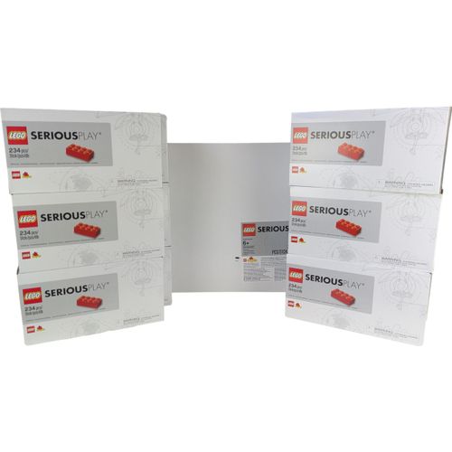 LEGO® SERIOUS PLAY Workshop-Bundle für 12 Personen ( 5427 Teile ) – 1x Identity & Landscape Set + 12x Starter Set – Komplettlösung für kreative Team-Workshops