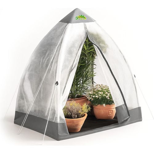 BioGreen Überwinterungszelt "Tropical Island M" L 130 x B 130 x H 150 cm