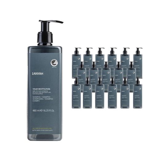 ANYAH Shampoo 18 × 480 ml – Feuchtigkeit, Glanz, für trockenes Haar, vegan, Ecolabel - Nicht Nachfüllbar