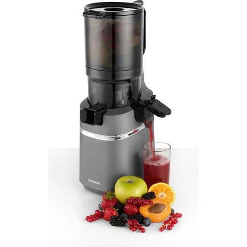 Slow Juicer JUICY 250 W Concept LO7120