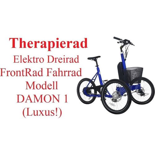 Elektro Therapierad Gleichgewichtsproblem Lösung Dreirad Erwachsene Frontrad Heckantrieb Rückenlehne 25km/h Modell Damon 1