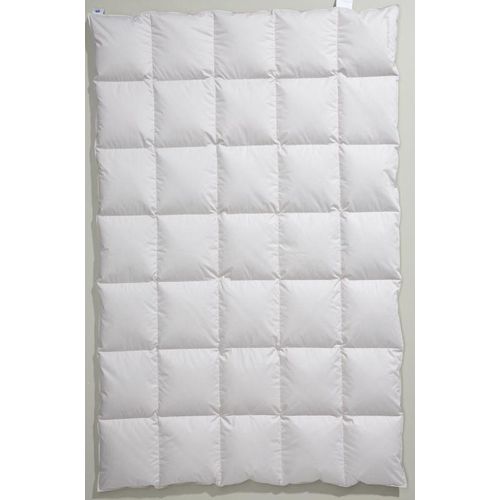 Centa-star extra Kassettendecke "Golf von Alaska" Daunen/Feder 2 cm hohe Stege - Wärmestufe 3 Größe 135x200 cm