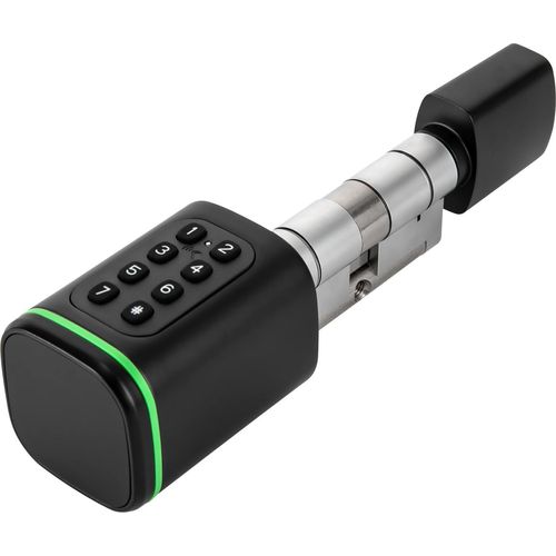 Kombinations-Türschloss Set elektrisch Tür-Schließzylinder mit 2 Schlüssel 4 Entriegelungsmethoden IP53 (Schwarz)