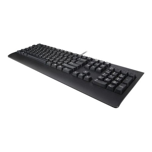 LENOVO USB Keyboard Preferred Pro II ES