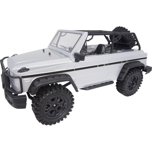 Amewi Surpass Wild 4WD Crawler 1:10 RTR