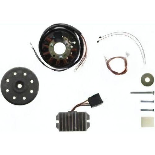 Lichtmaschine 6V 100W passend für AWO425 Sport und Touren