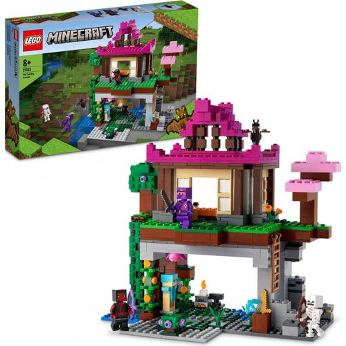 LEGO 21183 Minecraft Das Trainingsgelände, Haus und Höhle